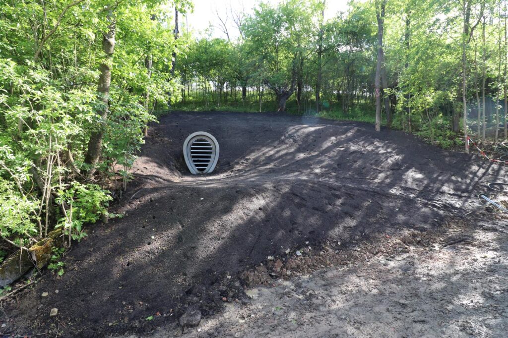 Fledermauswinterquartier