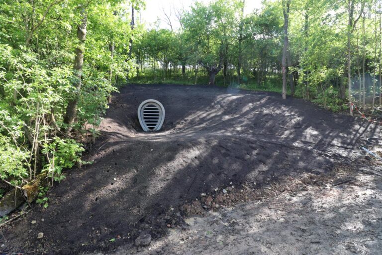 Fledermauswinterquartier